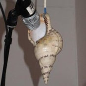 Foto de Berta Jottar