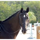 Suzette Sailsman's photo