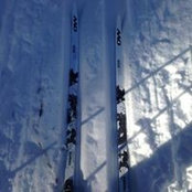 Foto von Cathy Larochelle