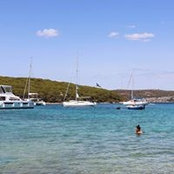 Ines Amar's photo