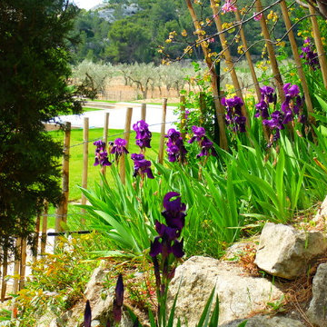 Un Mas dans Les Alpilles