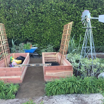 Backyard farm theme garden