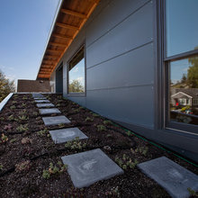 green roof