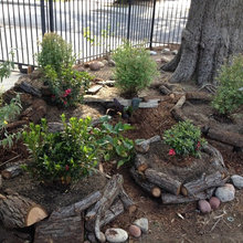 Permaculture