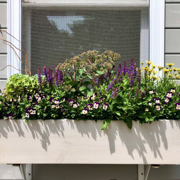 Summer Contrast Window Boxes