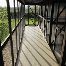 cattery