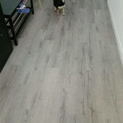 We love animals - Products