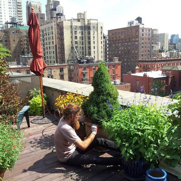 NYC Manhattan penthouse rooftop garden drip irrigation company NY Plantings Inst