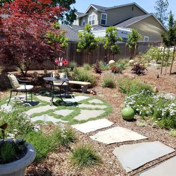 -Cotati Country Style Garden-