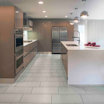 Warm Modern Remodel Michigan