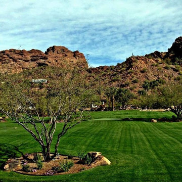 Phoenix Sod Installation