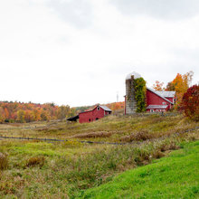 Red Barns