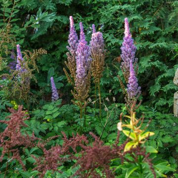 My Houzz: A Canadian Garden Is Well-Prepared for the Cold Weather Ahead