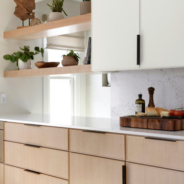 Northeast Minneapolis Project