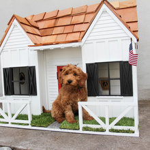 Dog House