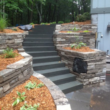 Rear Yard Steps