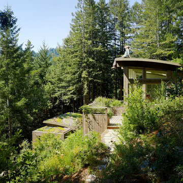 Mill Valley, Cabin Studio's