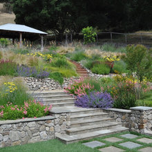 Hillside garden