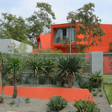 Low Maintenance Backyard
