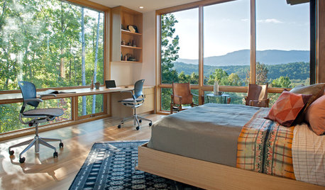 Houzz Tour: Natural Beauty in the Blue Ridge Mountains