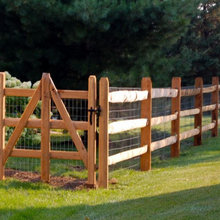 dog fencing