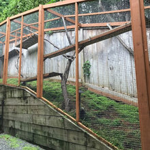 Catio