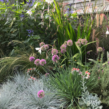 Mediterranean Garden in Tsawwassen
