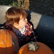 Elizabeth Ludvik's photo