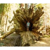 Nick Bell's photo