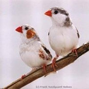 Ariel Cuda Paler's photo