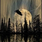 Mona Konecne's photo