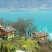 Nade Miloseska's photo