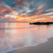 Robin Scotts foto
