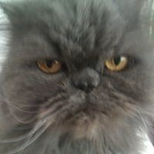 Christine Ashton's photo