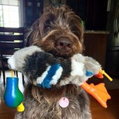 Josée Boivin's photo