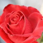 martha andrrews's photo