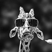 Mitzi Wickersham's photo