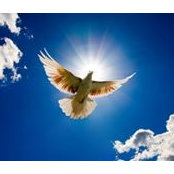 Frank LaGrotta's photo