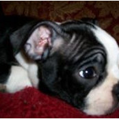 LeeAnn Hester's photo