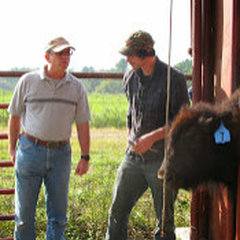 Red Gate Bison Ranch