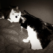 Jennifer Schier Schuessler's photo
