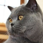 Maria Flachberger-Riess's photo