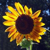 Penny Westgate's photo
