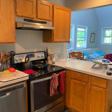 BEFORE (Existing view form Kitchen to Living)