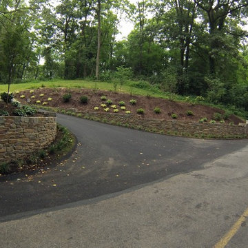 Driveway Entrance Landscape Renovation