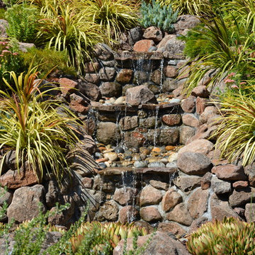 Petaluma Terraced Yard