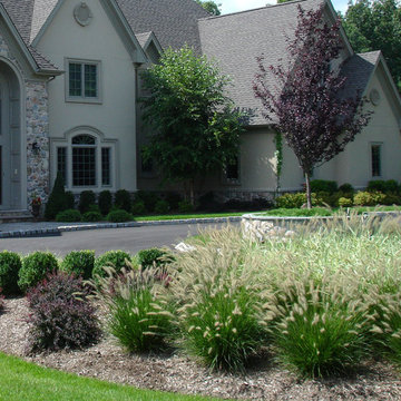Boxwood, Crimson pygmy barberry, Hamelyn grass
