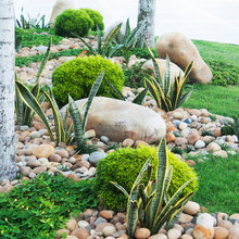 Courtyard Design
