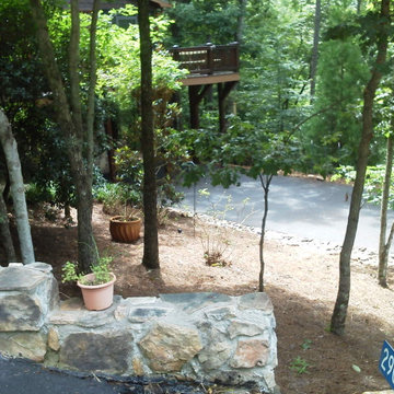 Landscape & Foundation