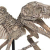 Sculpture Velociraptor Skeleton Dinosaur Ebony Ivory Black Poly Resin
